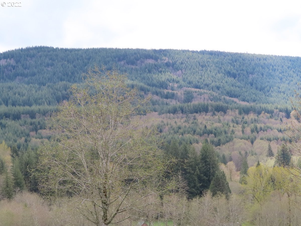 Hagen Road, Unit 14 Mossyrock, WA 98564 - Photo 26 of 32 Gallery Image 26