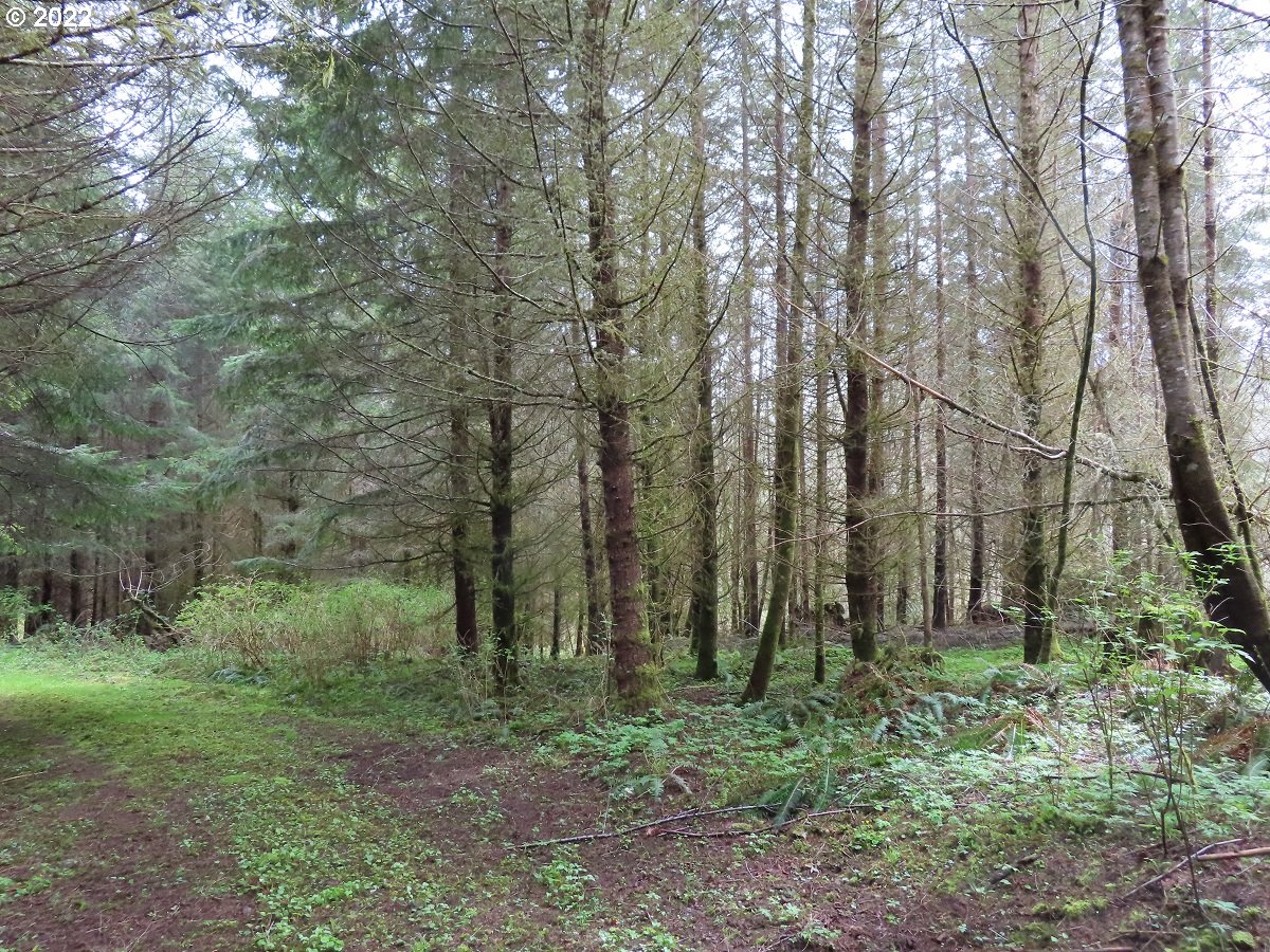 Hagen Road, Unit 14 Mossyrock, WA 98564 - Photo 28 of 32 Gallery Image 28