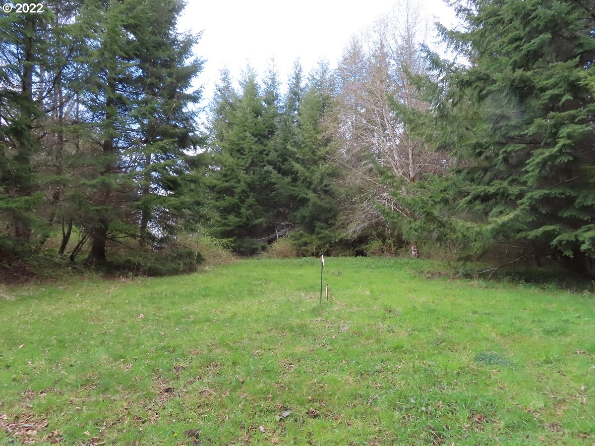 Hagen Road, Unit 14 Mossyrock, WA 98564 - Photo 29 of 32 Gallery Image 29