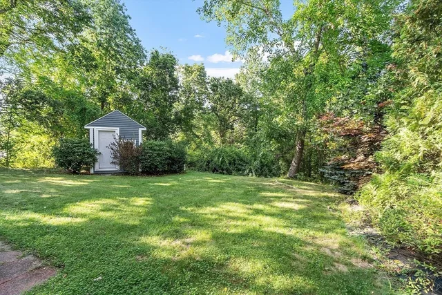 a big yard with large trees
