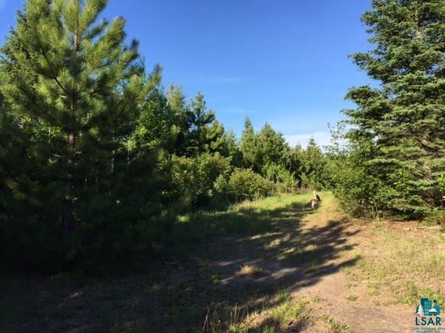 1142 Camp 20 Road Grand Marais, MN 55604 - Photo 16 of 17