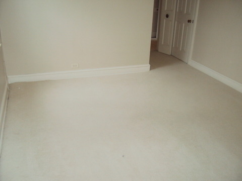 231 Dewey Road Inverness, IL 60067 - Photo 17 of 22