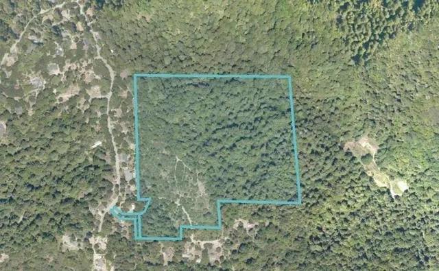 $975,000 | 225 Santa Cruz Street, Boulder Creek, CA 95006