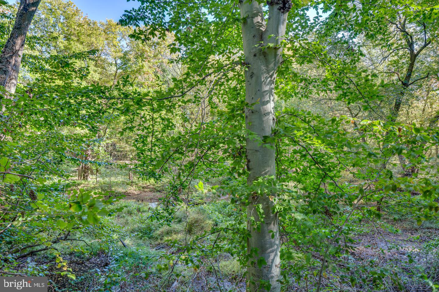60 Edison Road Cherry Hill, NJ 08034 - Photo 33 of 35 Gallery Image 33