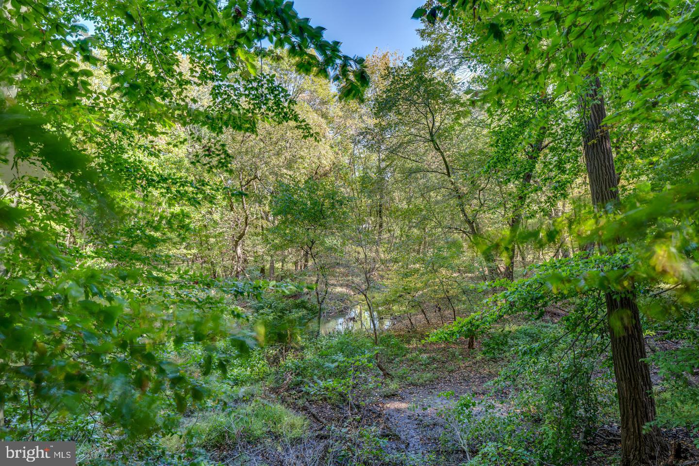 60 Edison Road Cherry Hill, NJ 08034 - Photo 34 of 35 Gallery Image 34
