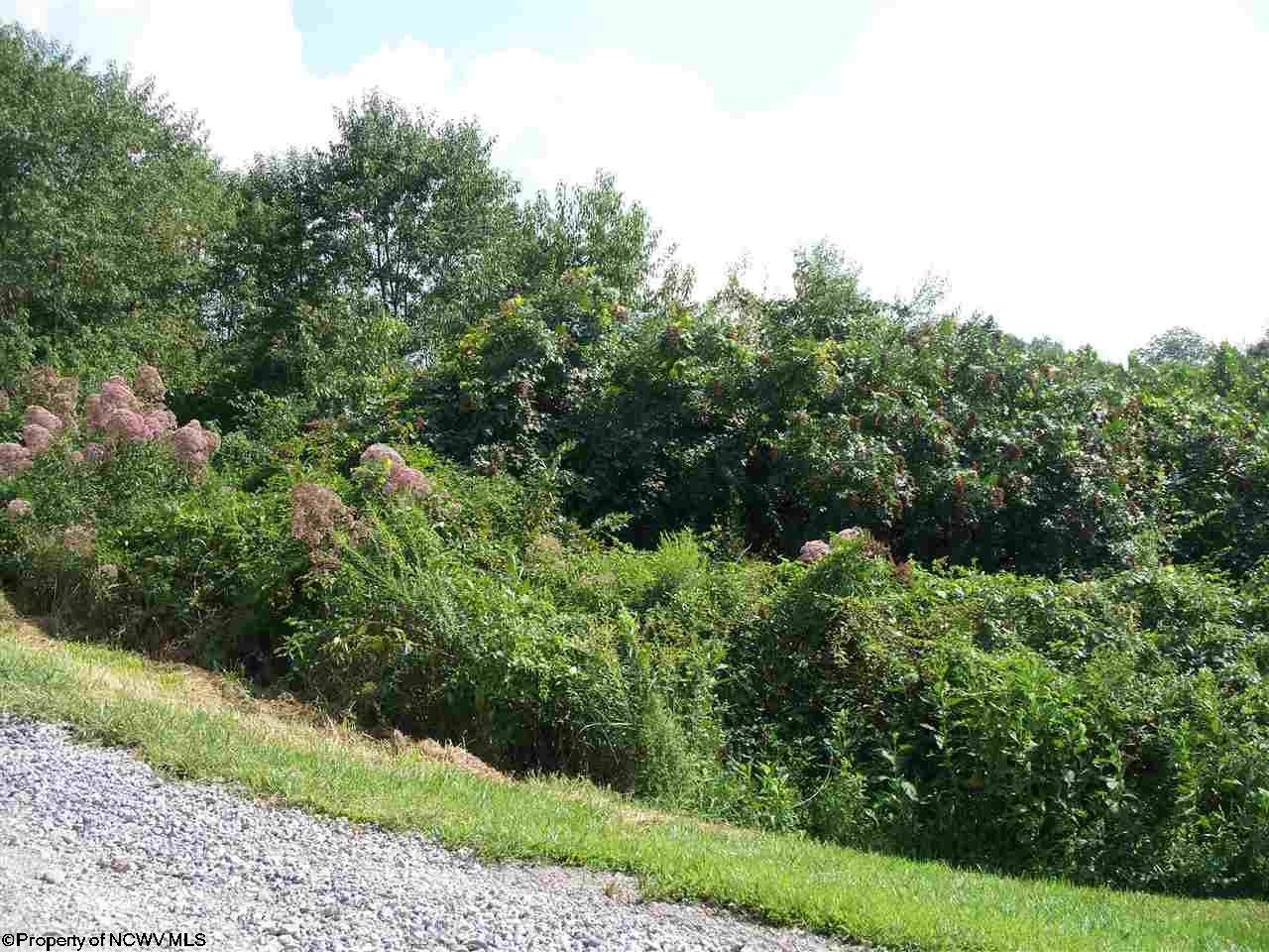 29-30 Ridgeview Jane Lew, WV 26378 - Photo 7 of 9 Gallery Image 7