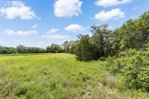 a view of a green field with lots of bushes