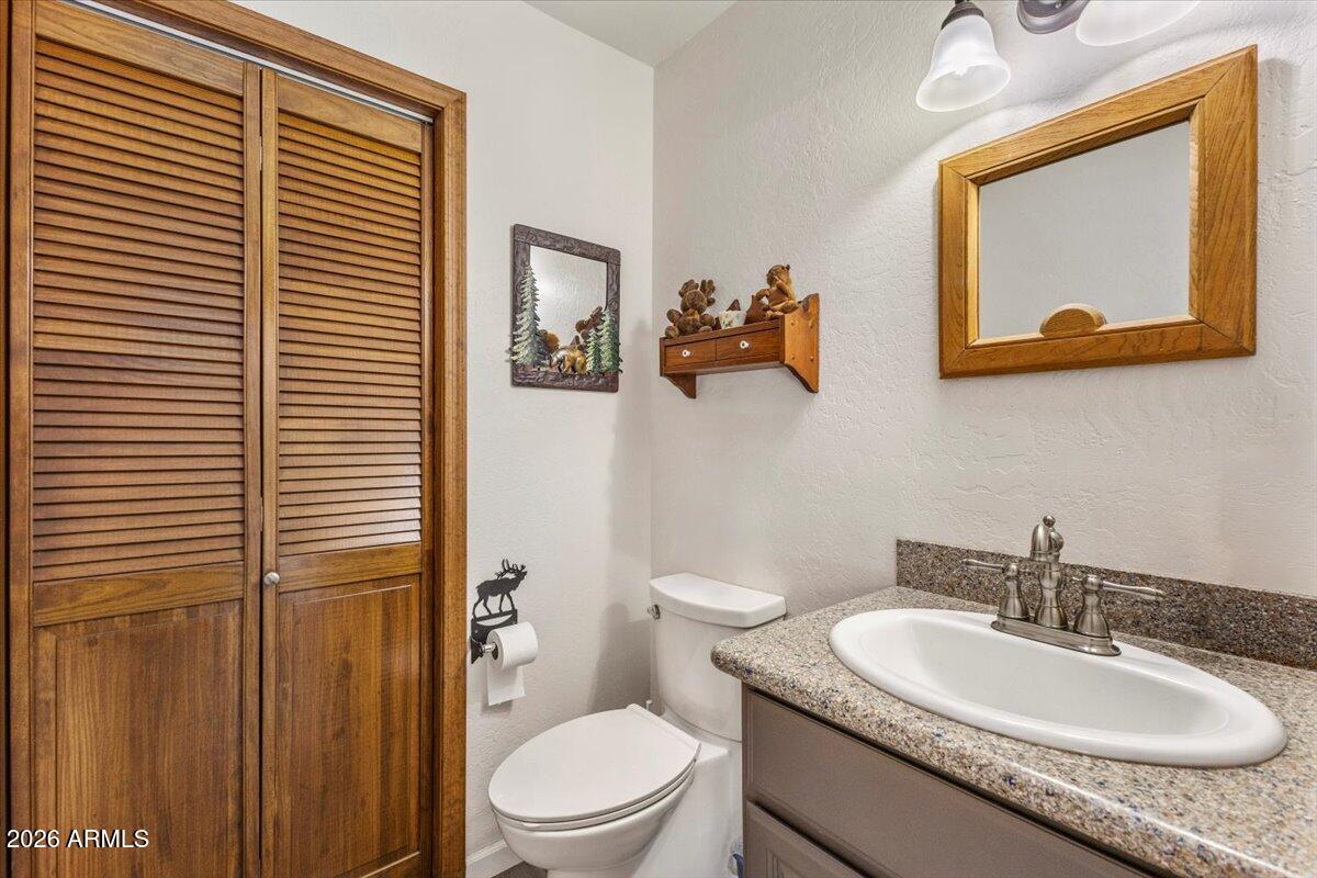 24 County Road 2065 Alpine, AZ 85920 - Photo 18 of 32 a bathroom with a granite countertop toilet a sink and mirror