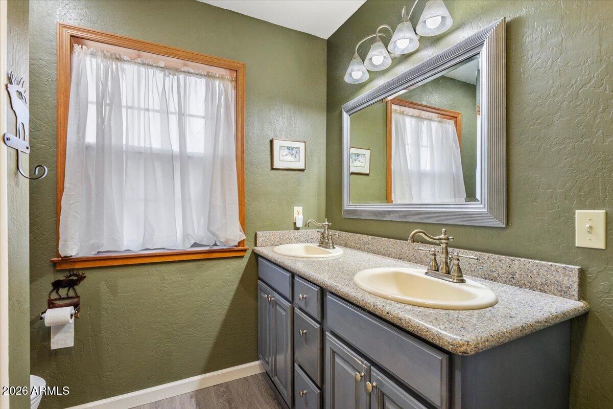 24 County Road 2065 Alpine, AZ 85920 - Photo 20 of 32 a sink with window and vanity