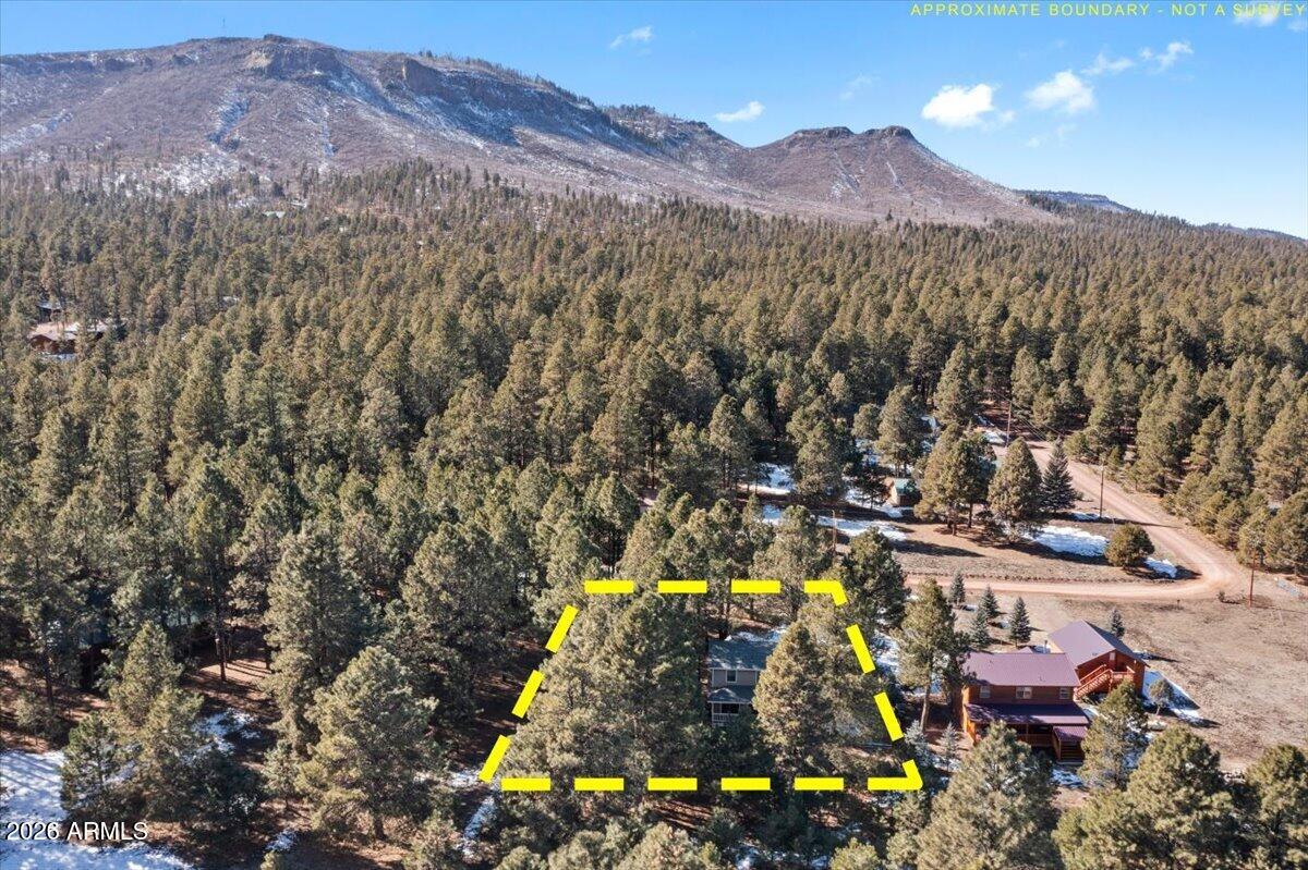 24 County Road 2065 Alpine, AZ 85920 - Photo 31 of 35 a view of a city