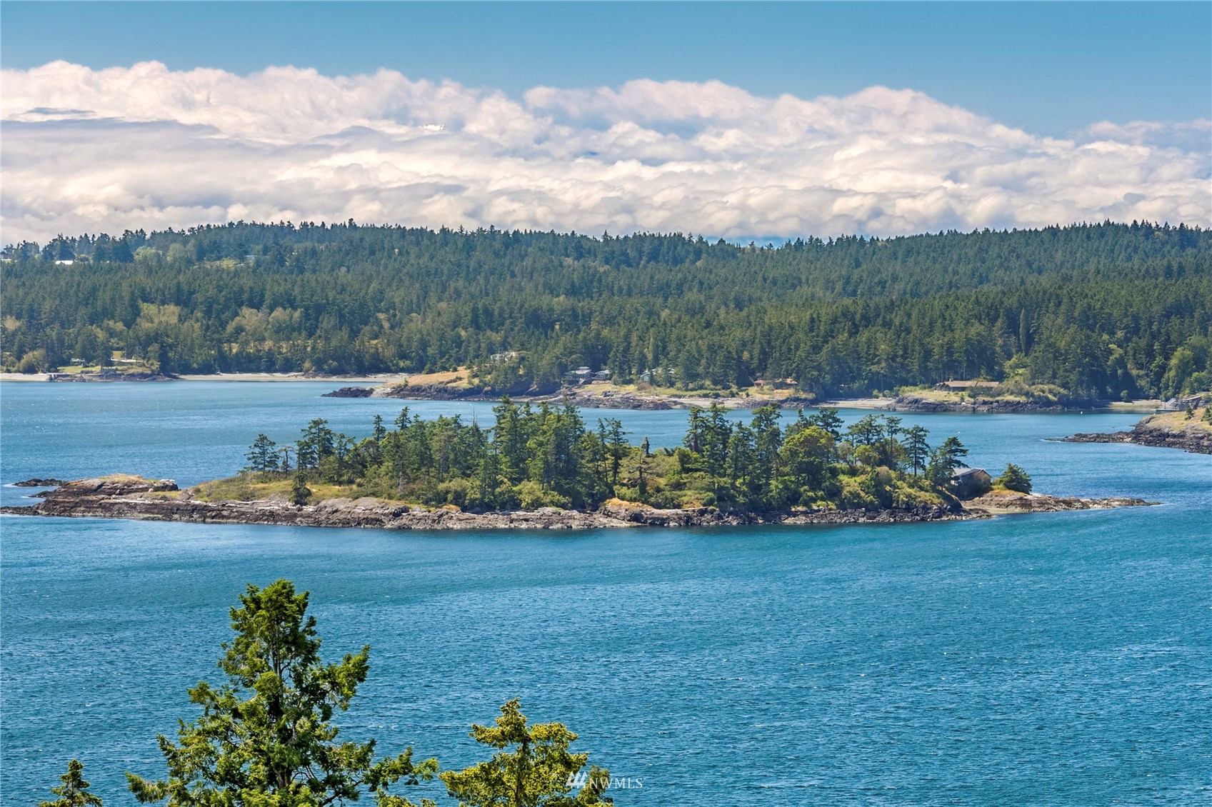 381 Covey Run Road Friday Harbor, WA 98250 - Photo 6 of 40 Gallery Image 6