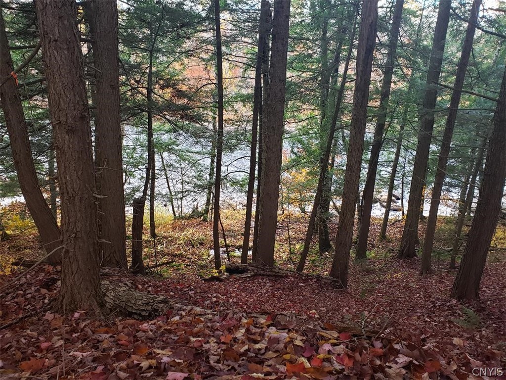 0 Moose River Road Lyons Falls, NY 13368 - Photo 11 of 13 Gallery Image 11