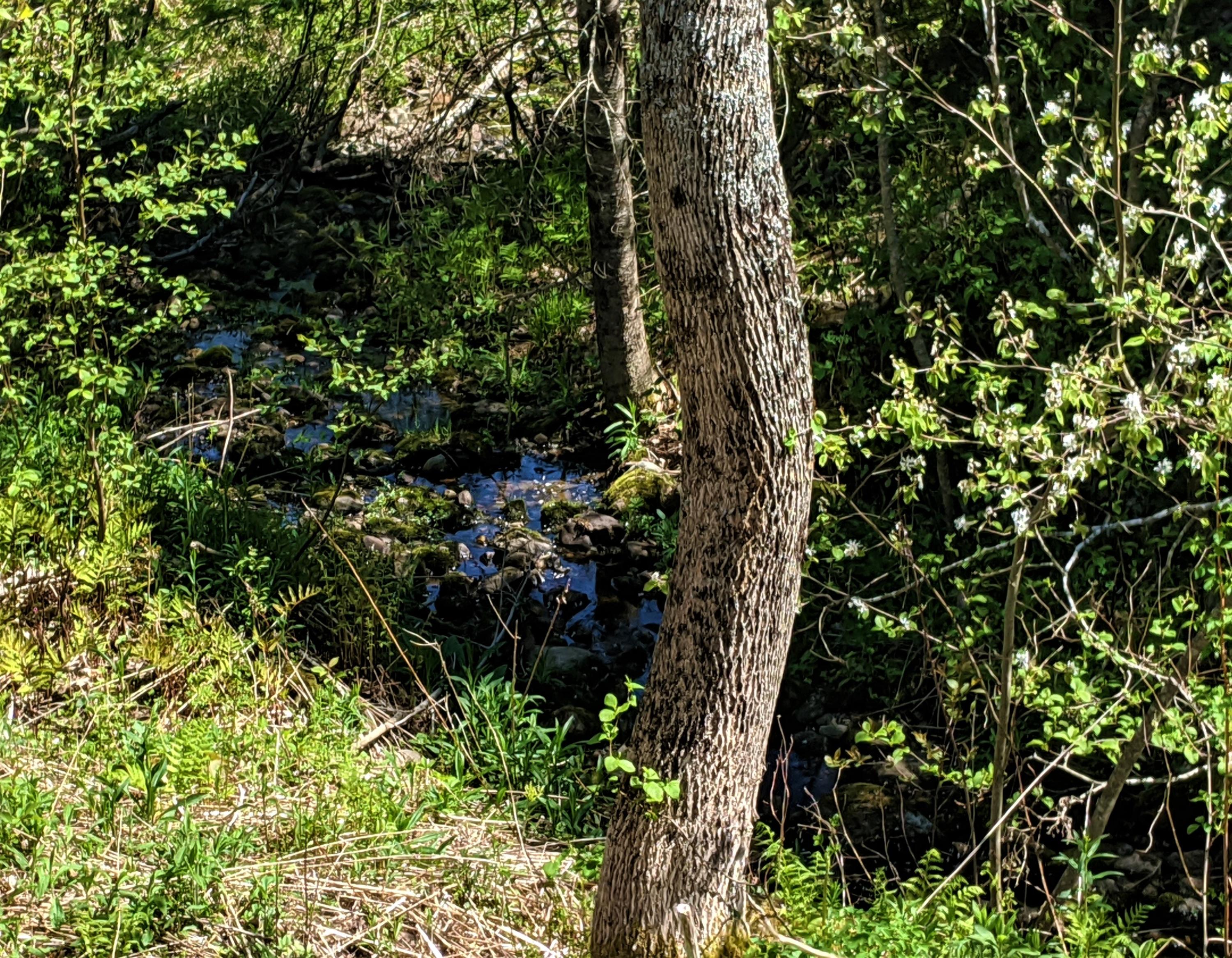 291 Anderson Road Warren, ME 04864 - Photo 6 of 16 stream