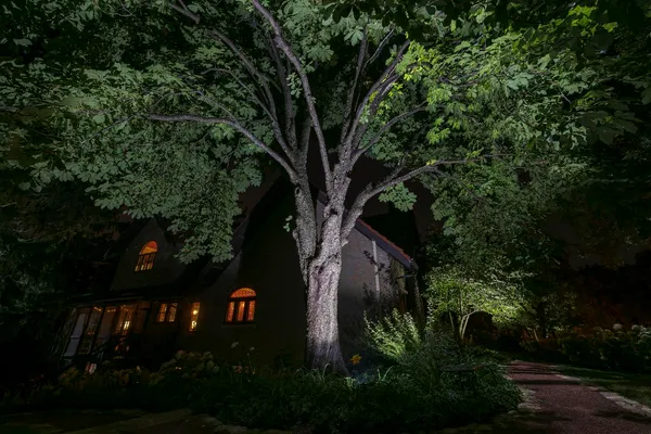$1,375,000 | 104 North Julian Street, Naperville, IL 60540
