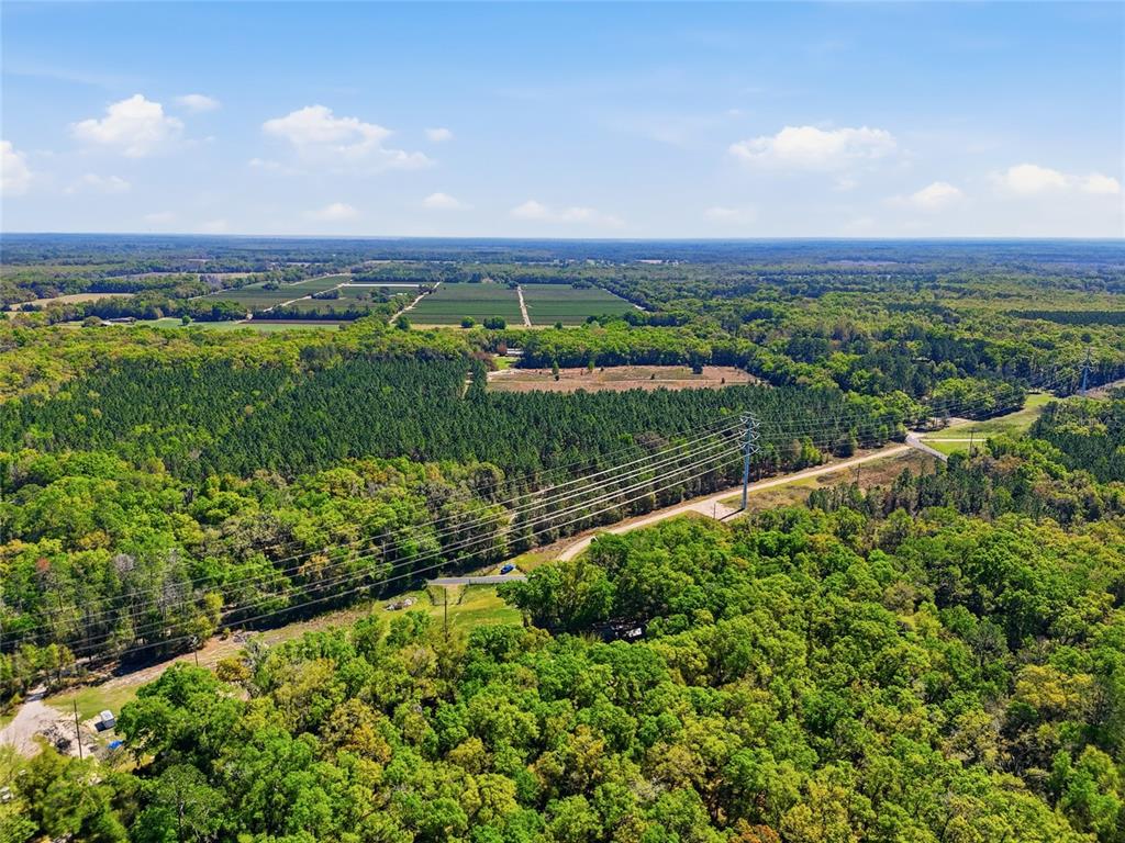 11791 Southwest 143rd Street Archer, FL 32618 - Photo 11 of 12 a view of a city with lush green forest
