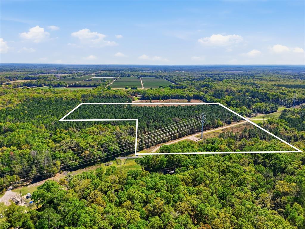 11791 Southwest 143rd Street Archer, FL 32618 - Photo 12 of 12 a view of a tennis court