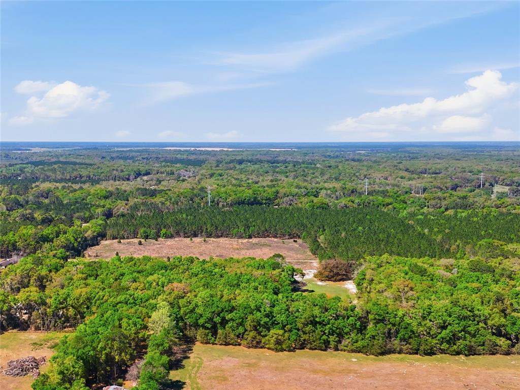 11791 Southwest 143rd Street Archer, FL 32618 - Photo 8 of 12 a view of lake with mountain
