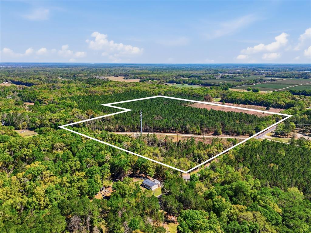 11791 Southwest 143rd Street Archer, FL 32618 - Photo 10 of 12 a view of a tennis court