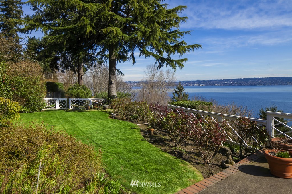 6539 Northeast Windermere Road Seattle, WA 98105 - Photo 2 of 15 a view of a garden with a tree