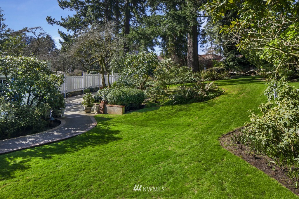 6539 Northeast Windermere Road Seattle, WA 98105 - Photo 12 of 15 a view of a backyard