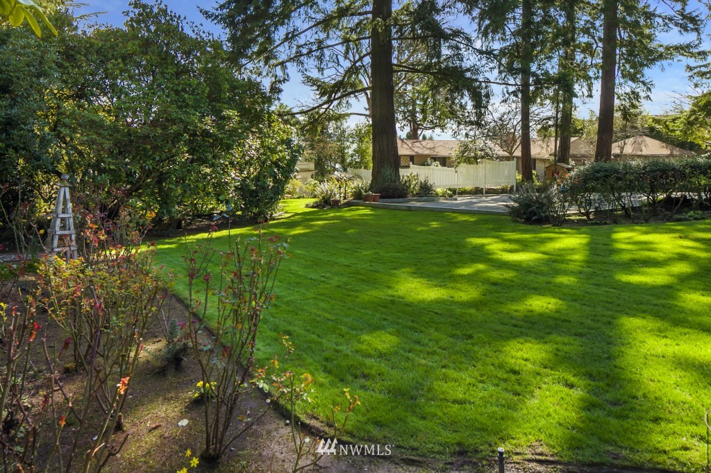 6539 Northeast Windermere Road Seattle, WA 98105 - Photo 14 of 15 a view of a backyard