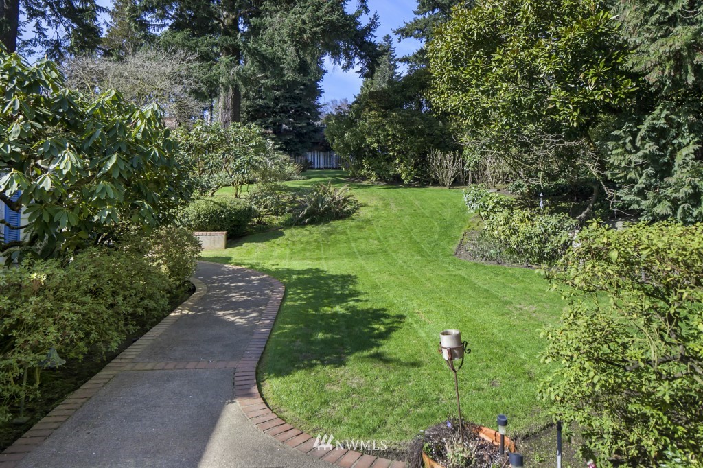 6539 Northeast Windermere Road Seattle, WA 98105 - Photo 15 of 15 a view of a garden with a fountain