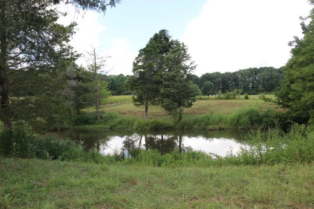 0 Old Federal Road Madisonville, TN 37354 - Photo 11 of 15
