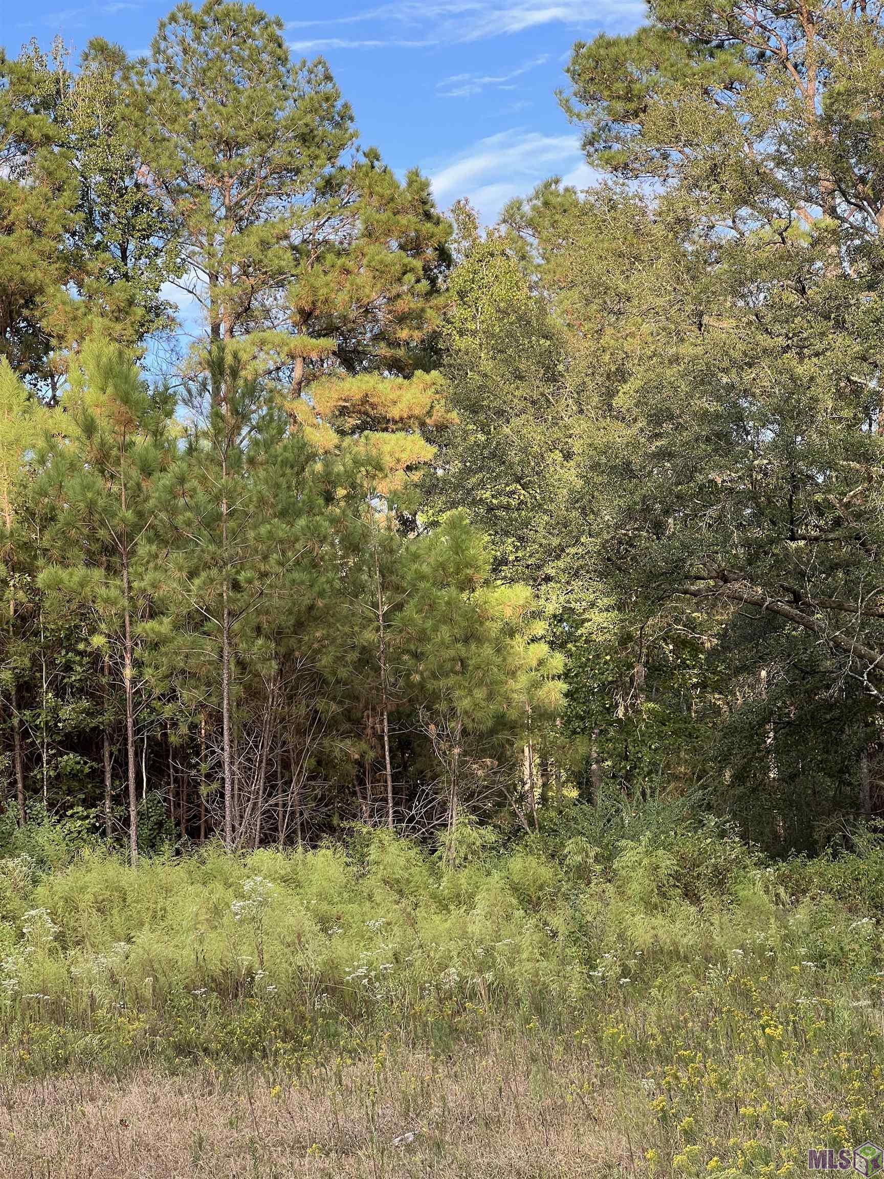 63 Clinton La Clinton, LA 70722 - Photo 2 of 10
