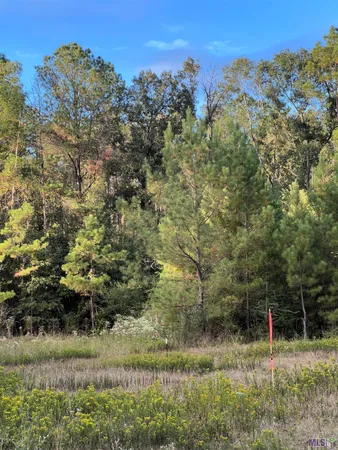 $2,184,000 | 63 Clinton La, Clinton, LA 70722