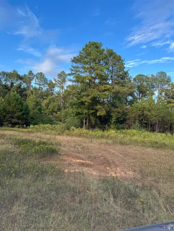 $2,184,000 | 63 Clinton La, Clinton, LA 70722