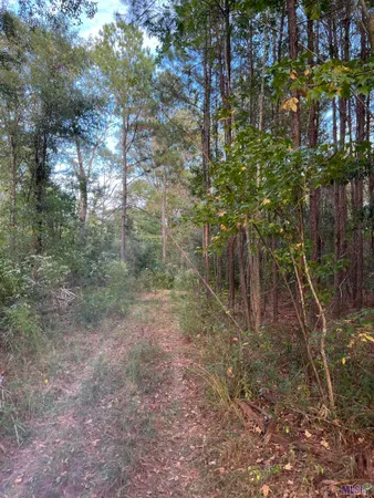 $2,184,000 | 63 Clinton La, Clinton, LA 70722