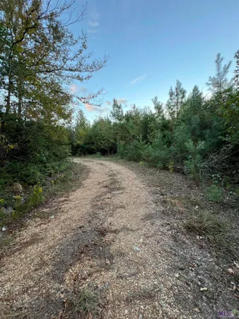 $2,184,000 | 63 Clinton La, Clinton, LA 70722