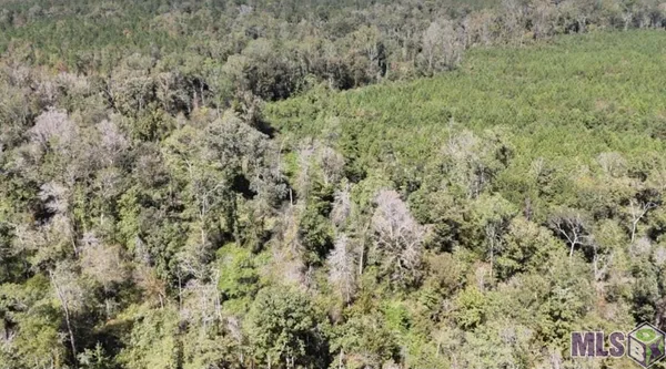 $2,184,000 | 63 Clinton La, Clinton, LA 70722