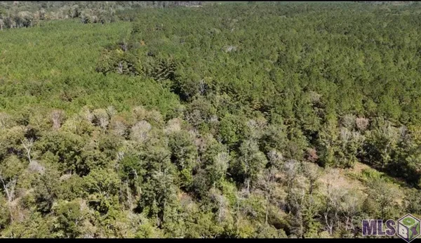 $2,184,000 | 63 Clinton La, Clinton, LA 70722