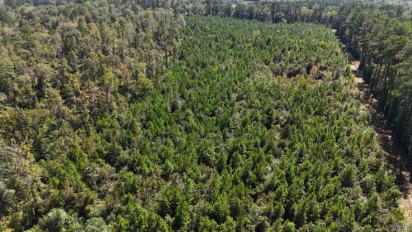 $2,184,000 | 63 Clinton La, Clinton, LA 70722