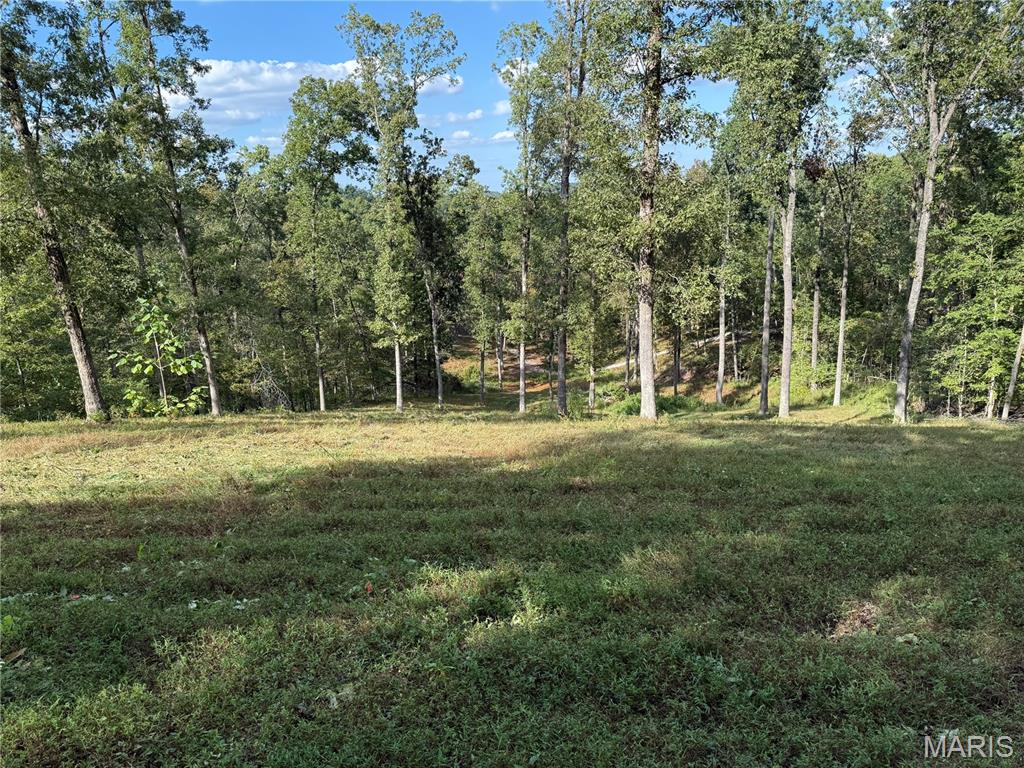 1744 Pcr 710 Perryville, MO 63775 - Photo 13 of 61