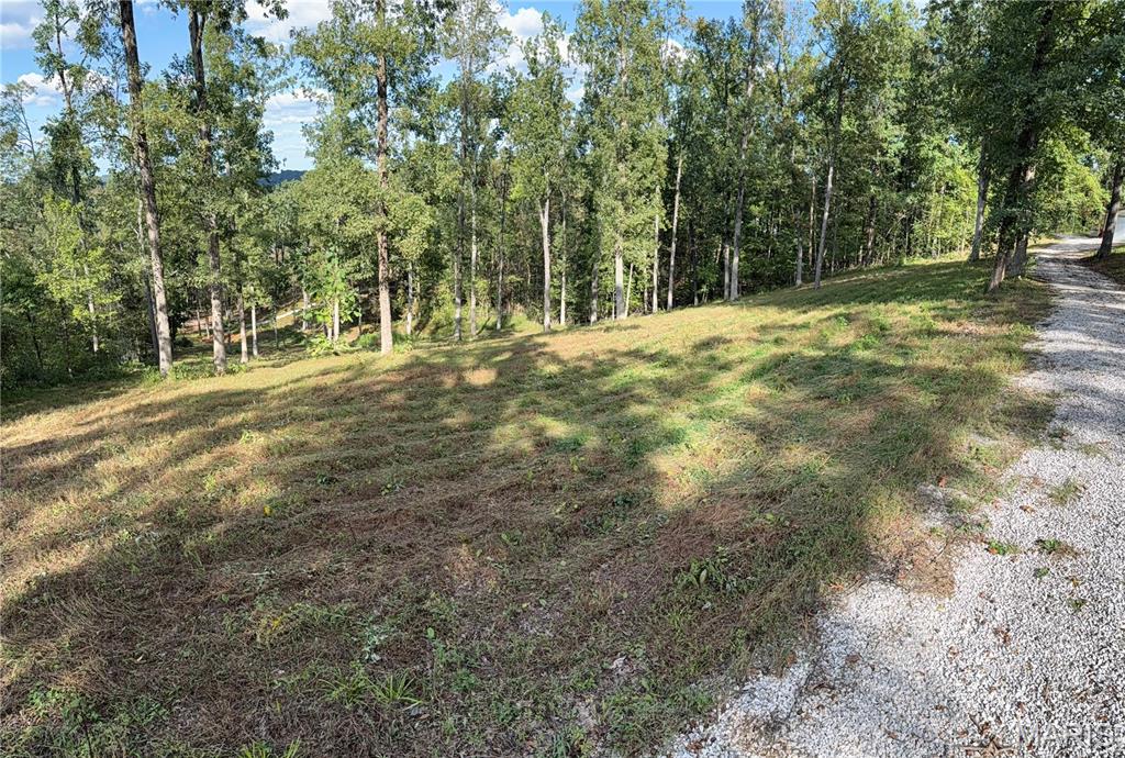 1744 Pcr 710 Perryville, MO 63775 - Photo 15 of 61