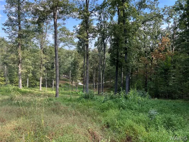 $220,000 | 1744 Pcr 710, Perryville, MO 63775