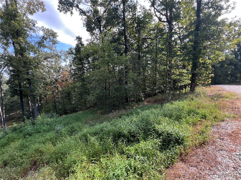 1744 Pcr 710 Perryville, MO 63775 - Photo 46 of 61