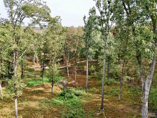 $220,000 | 1744 Pcr 710, Perryville, MO 63775