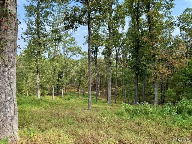 $220,000 | 1744 Pcr 710, Perryville, MO 63775