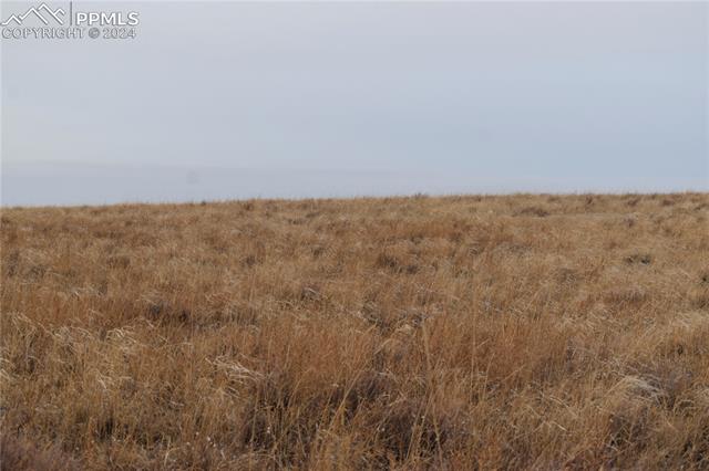 31390 Ken View Yoder, CO 80864 - Photo 7 of 8 View of mother earth's splendor
