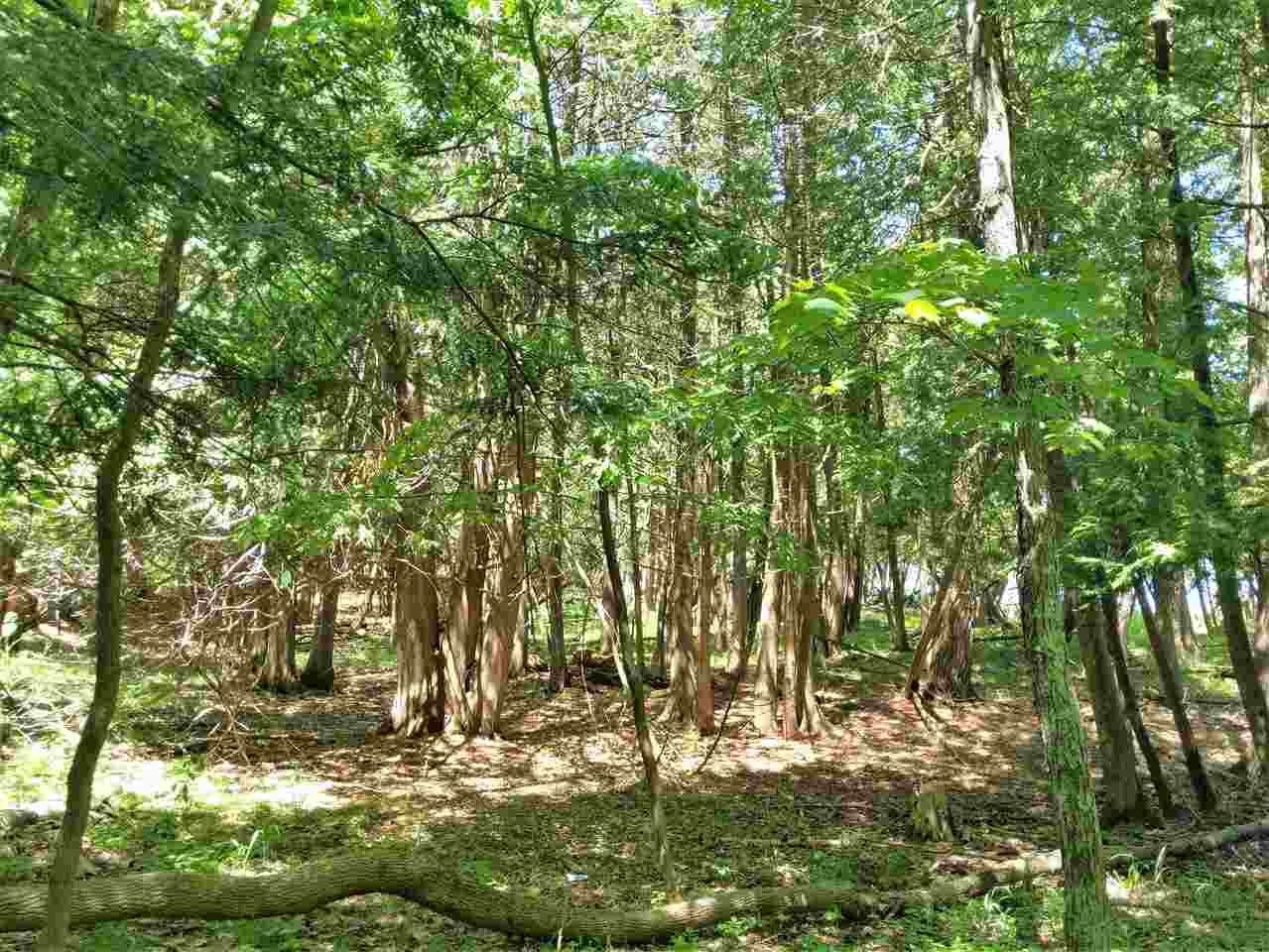 Burnt Mill Road Interlochen, MI 49643 - Photo 22 of 25 1863508-21.JPG