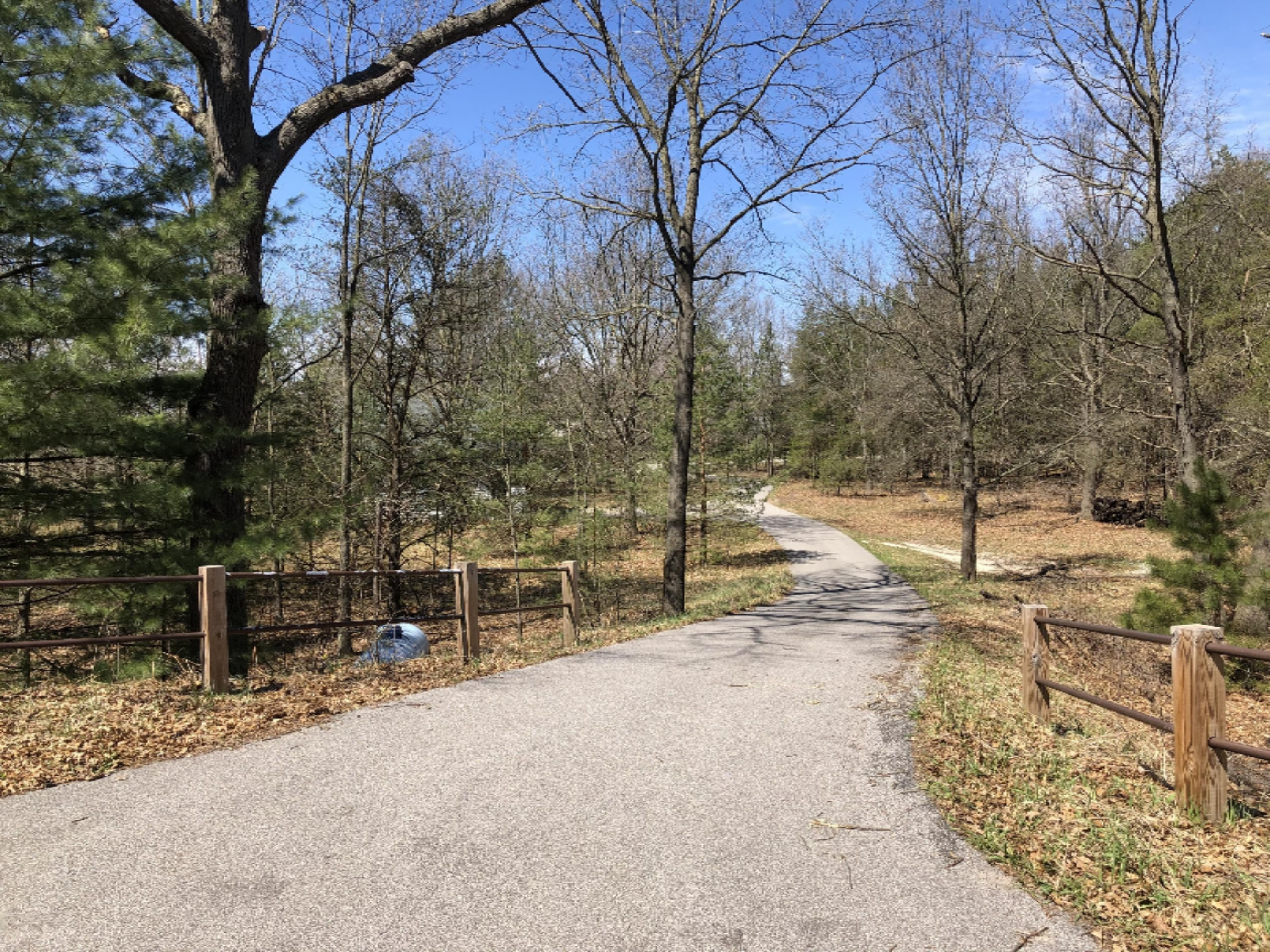3669 Rakoniewski Road Manistee, MI 49660 - Photo 28 of 32 Paved Driveway from house toward road.