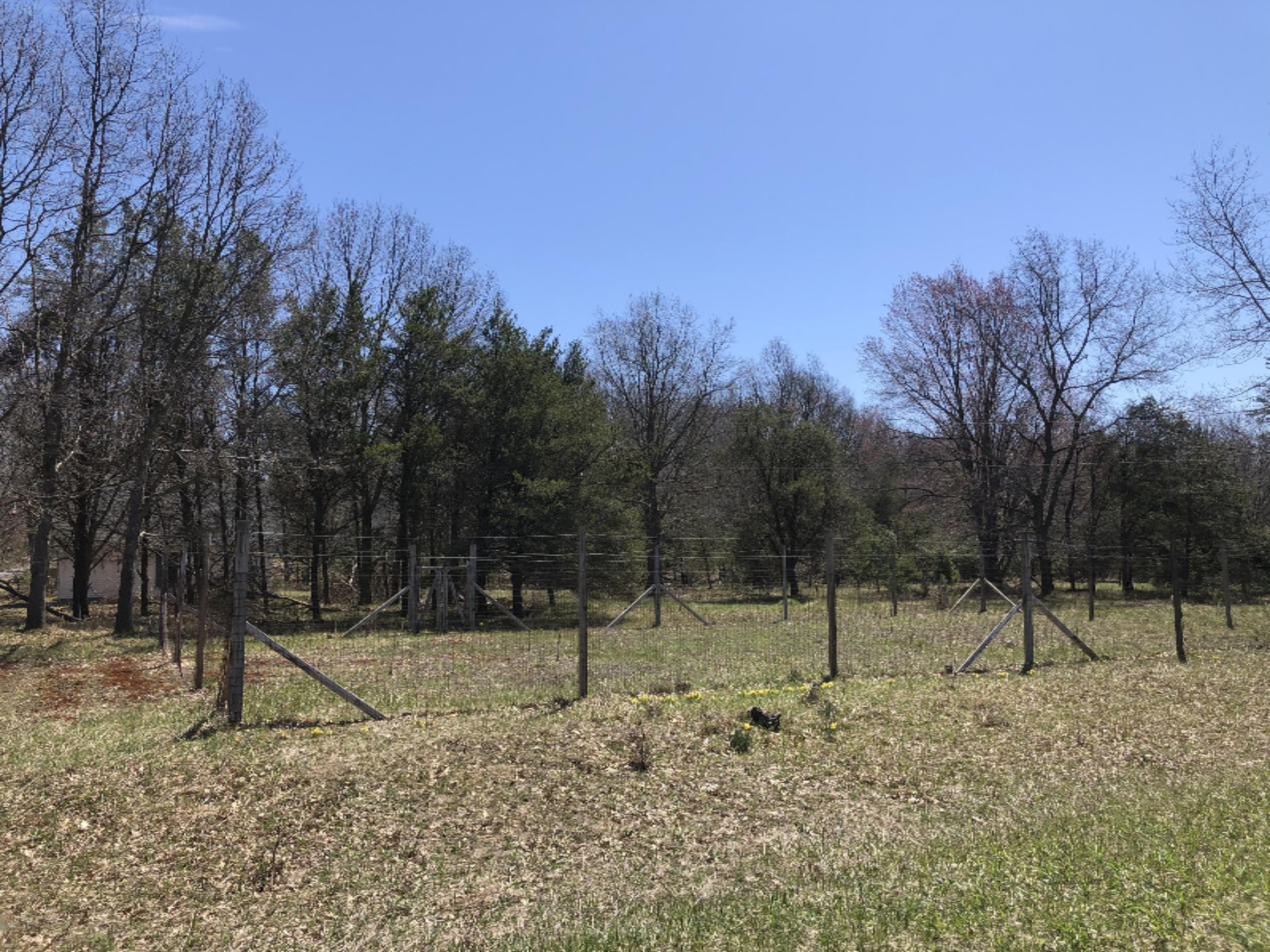 3669 Rakoniewski Road Manistee, MI 49660 - Photo 31 of 32 Huge Fenced-In Area for a Garden by road