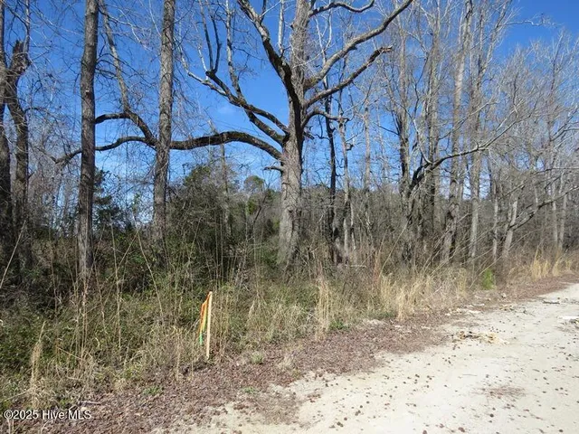 $150,000 | Tbd Kehukee Drive, Parkton, NC 28371