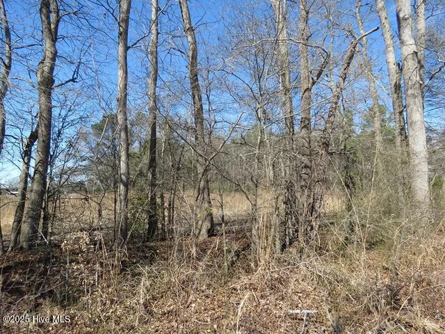 $150,000 | Tbd Kehukee Drive, Parkton, NC 28371