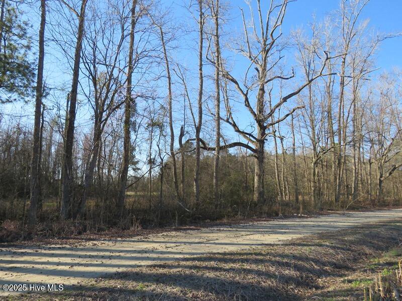 Tbd Kehukee Drive Parkton, NC 28371 - Photo 9 of 14 IMG_7487