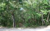 160-ac Tompkins Landing Road Hilliard, FL 32046 - Photo 1 of 1 Gallery Image 1