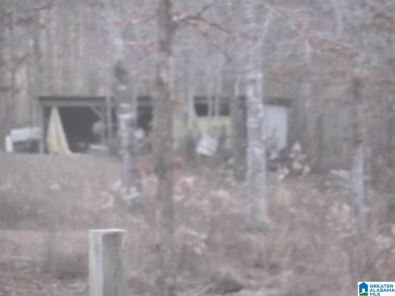 20855 Cedar Road McCalla, AL 35111 - Photo 15 of 15 Gallery Image 15